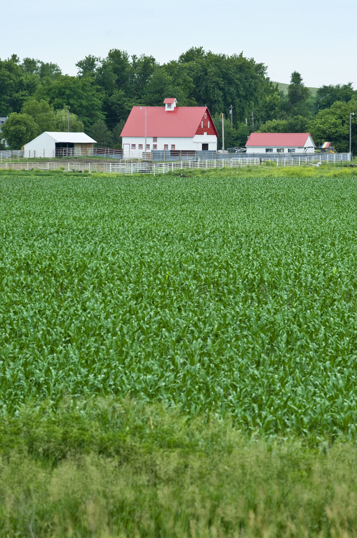 Barn on Highway 14 Neligh